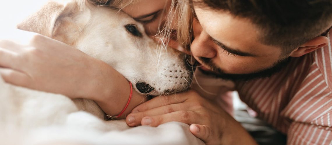 dark-haired-man-blond-woman-lovingly-hug-their-labrador-portrait-close-up-couple-playing-with-dog